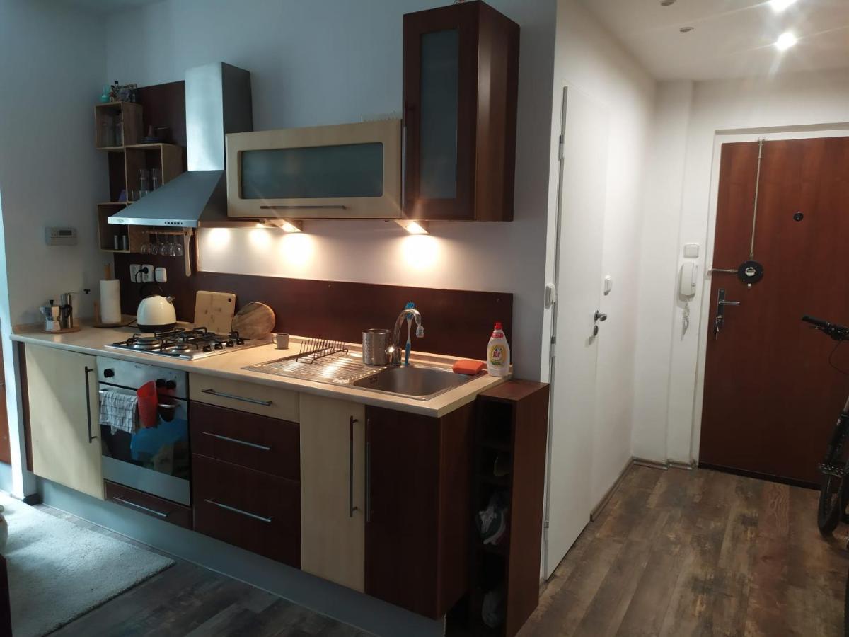 Pisqor Apartment - Self Check-In ブラチスラヴァ エクステリア 写真