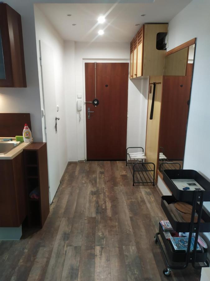 Pisqor Apartment - Self Check-In ブラチスラヴァ エクステリア 写真